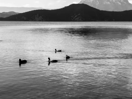 Kazino Midas Mobilā lietotne